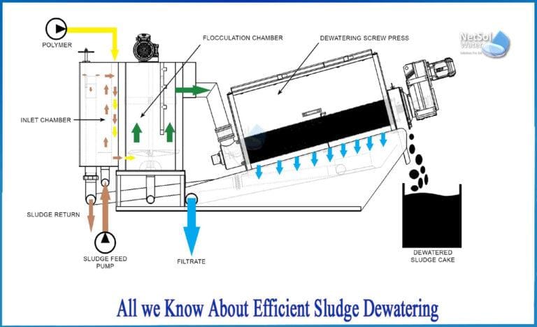 Sludge dewatering process using cationic polyacrylamide CPAM flocculant