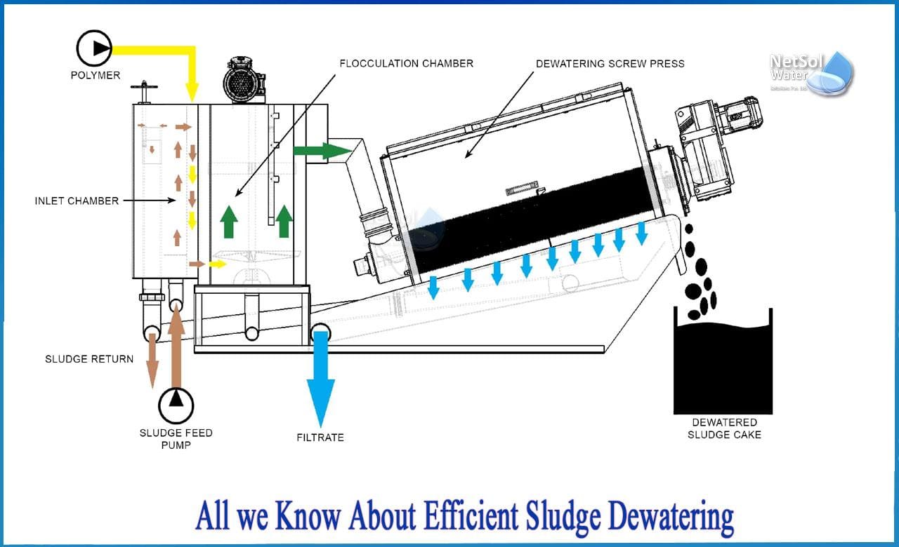 Sludge dewatering process using cationic polyacrylamide CPAM flocculant