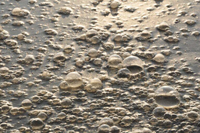 Industrial wastewater treatment plant for polyacrylamide flocculant application