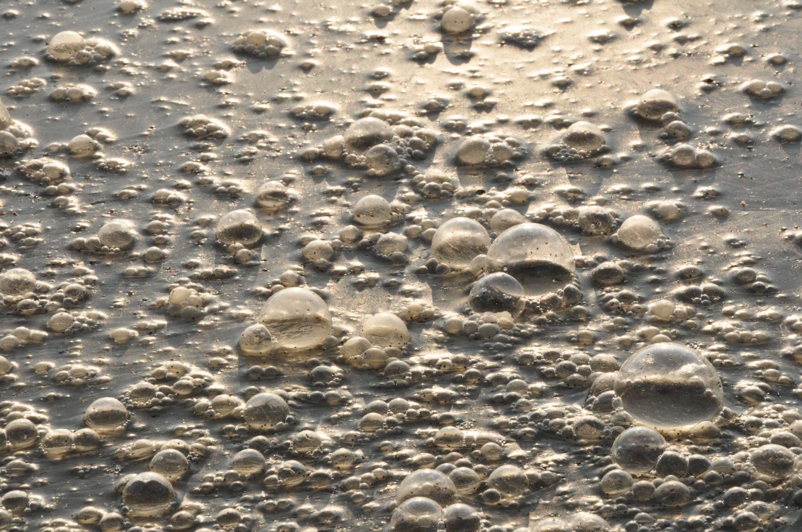 industrial wastewater treatment plant using polyacrylamide flocculants APAM and CPAM