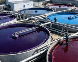 Textile & Dyeing