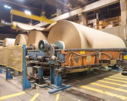 Paper Mill Liquidation